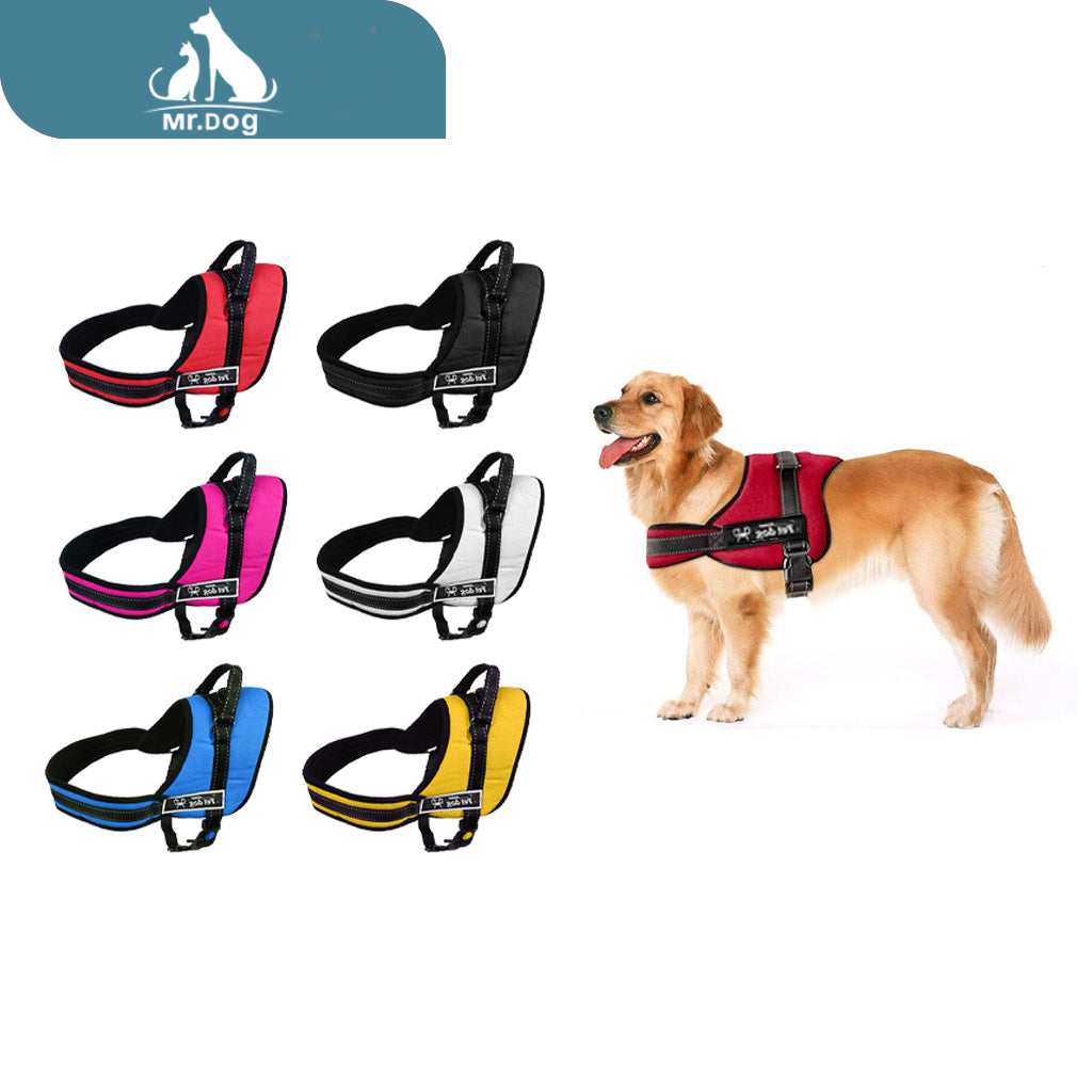 Arnés para perro k8 m color liso paq. con 6 pzas