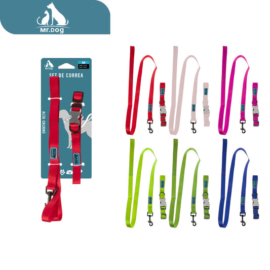 Set de Arnés collar de nailon 2.0 de color sólido paq. con 12 pzas